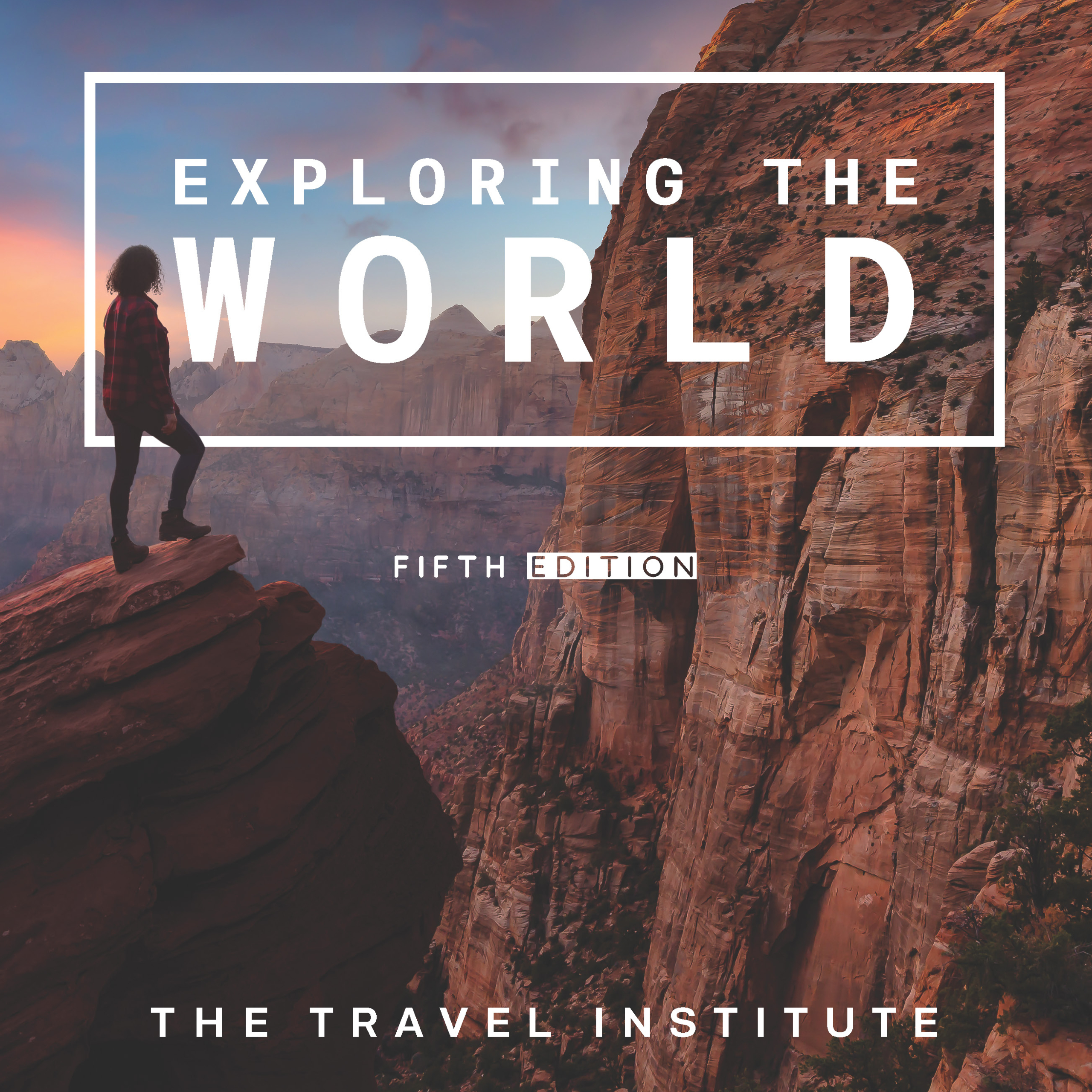 Global travel institute curriculum