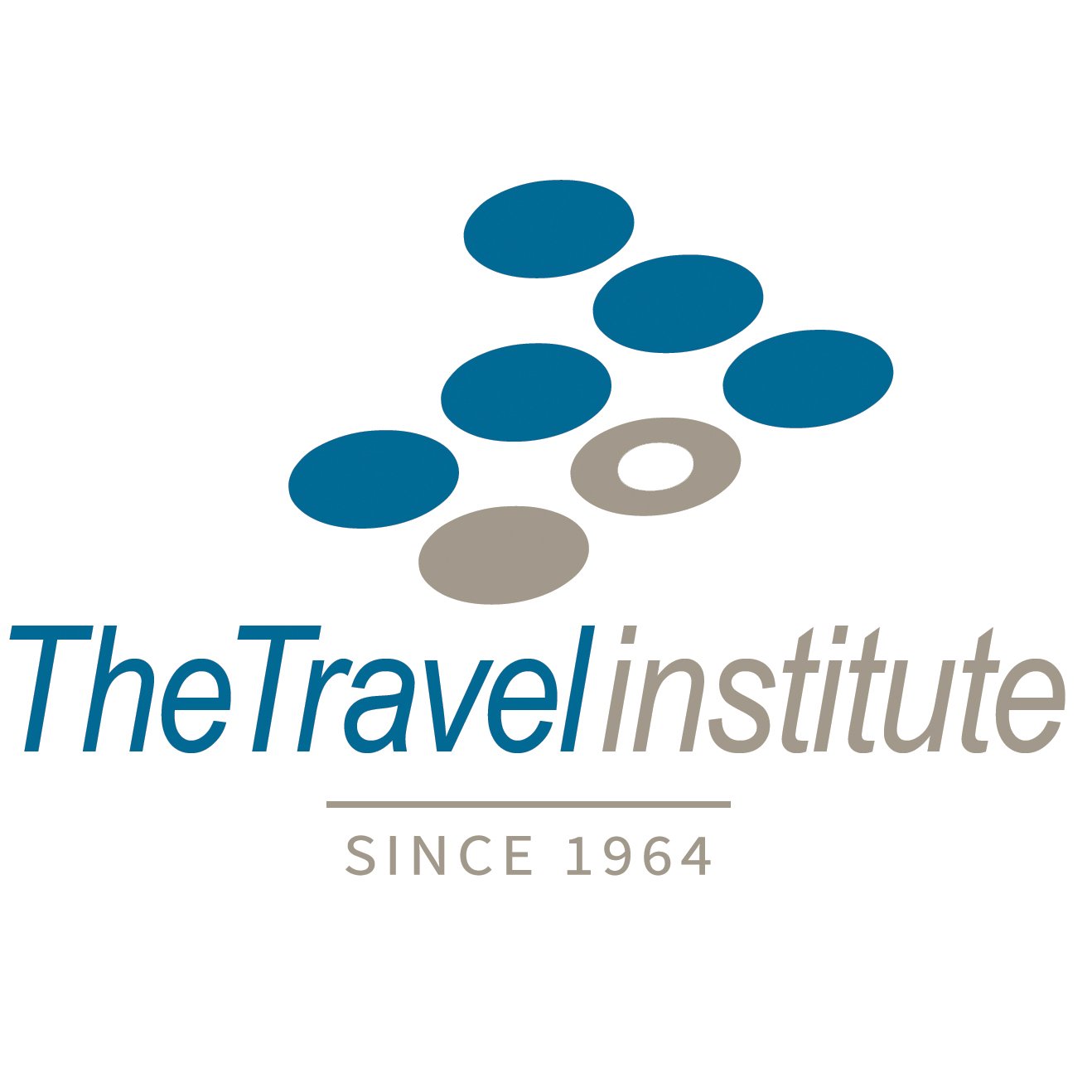 Best global travel institutes